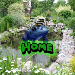 The Frog Army Home