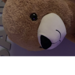 Teddy bear destroyers