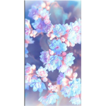 GALAXY COOKIE GIRL