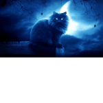 I love cats do u?