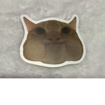 Cookie :3 Official Fan Group
