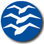 LifeCruise