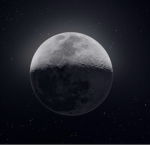 Moon_Mare tree fan group