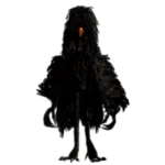 Blackbird