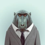 Monkey My Life