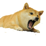 Doge_god’s