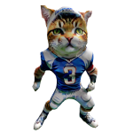 football glonker