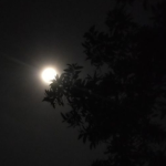 moonsplit