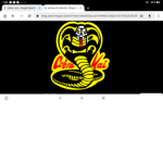 Cobra Kai!!!!!!!!!!!!!!!!!!!!