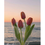 fflowers..