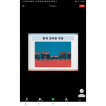 오면 아일랜드 나무 10개 줌