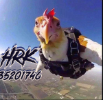 Hrk †