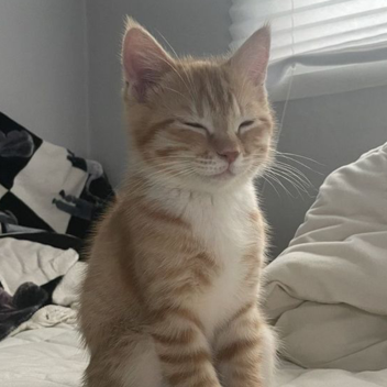 ♡