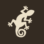 Salamander Workshop