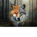 Fox and Wolf Clan For Pros!