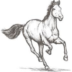 Rivers Equestrian Center