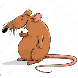 Rat karaoke night!
