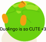 DuolingoLovers