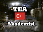 | TEA | Harp Akademisi