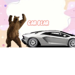 Join The Carbears!!