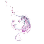 Unicorn only unicorn