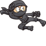 Sly Fighter