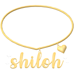 shiloh 3.0