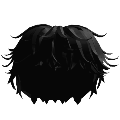 Fluffy Messy Hair Boy Black Roblox item