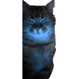 pesonen icon
