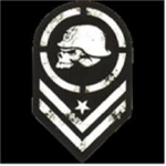The Hawk Falcon Military
