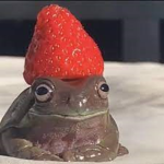 ~Froggy fan group~