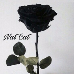 Nat Cat