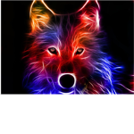 Wolfpackclub