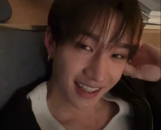 Survive Bangchan!! Stray Kids screenshot 1