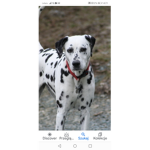 XxAnimalsXx