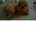 Seals forever group