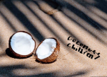 ~coconuts children~