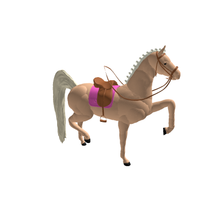 Braided Tawny with tack