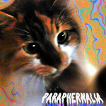 paraphernaIia