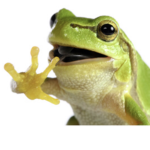 <~>The Frog of boredom<~>