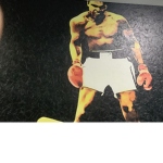 Knockout Boxing League