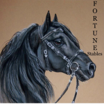 .:| Fortune Stables |:.