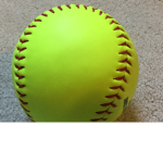 Softball puppy squad
