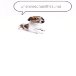 Whenimechainsama