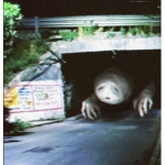 Louis's Bridge Worm Fan Group