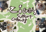 Ziggy Support Group