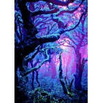 XxTwilight SkyxX