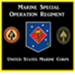 [USMC] 1st Marine Special Operations Regiment