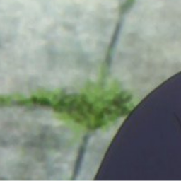 ⫍                ⫎