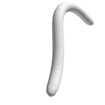 White Tail